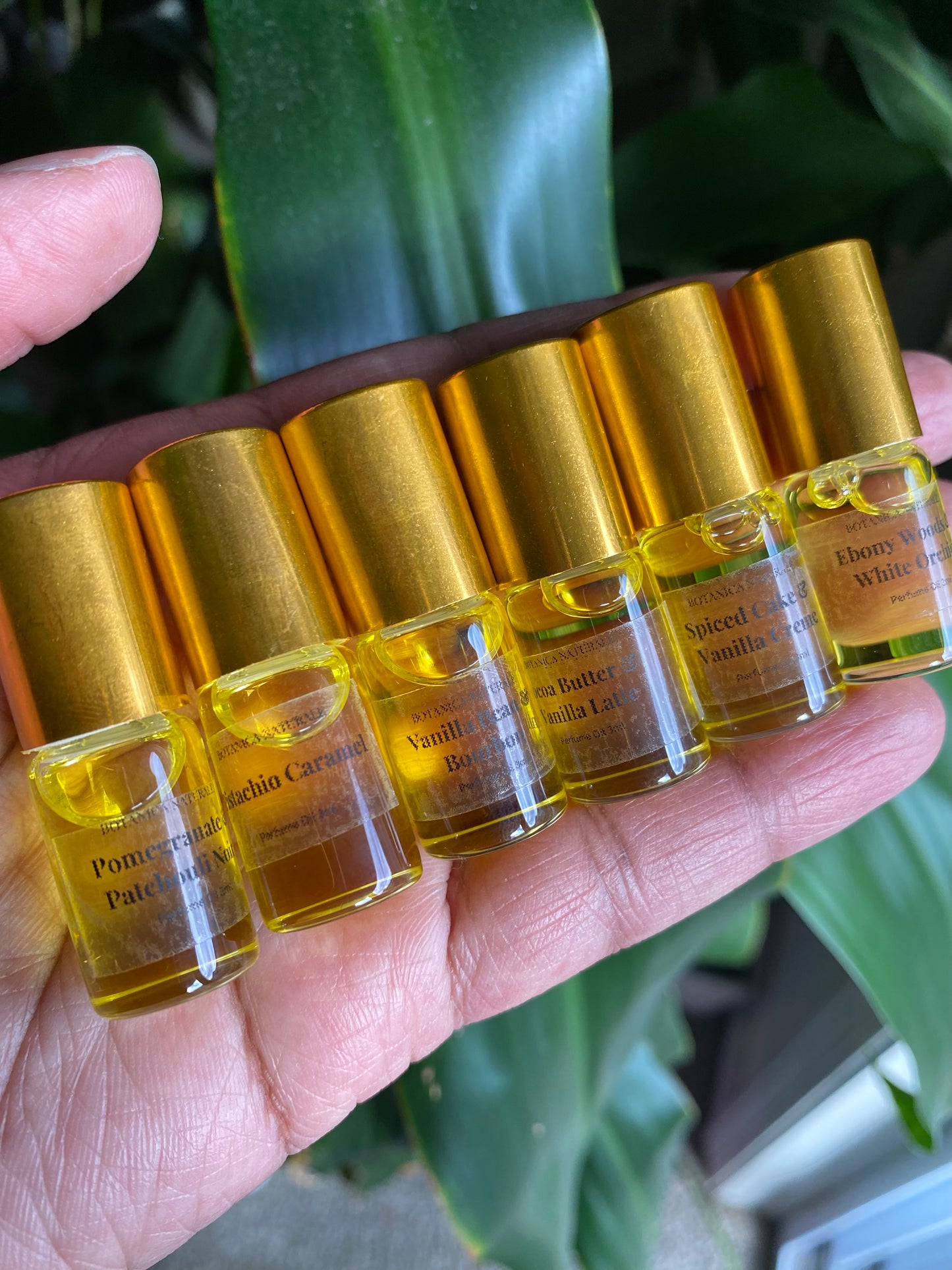 Perfume Oil Discovery Set